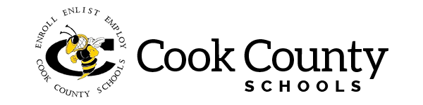 cook.k12.ga.us logo